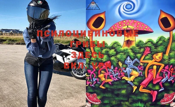 МДПВ Абаза