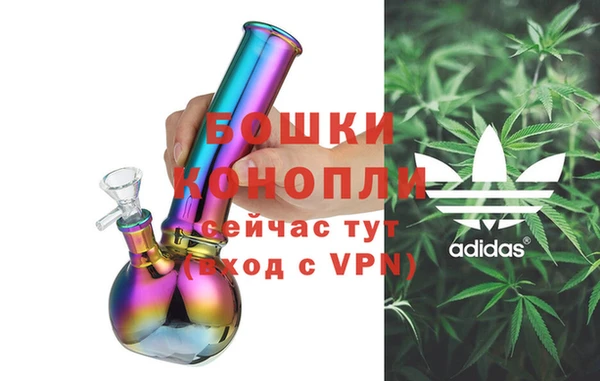 крисы Мегион