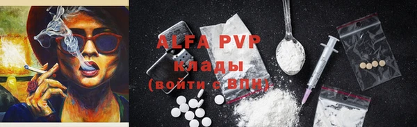 крисы Мегион