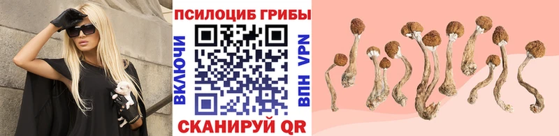 Галлюциногенные грибы GOLDEN TEACHER где продают наркотики Хабаровск