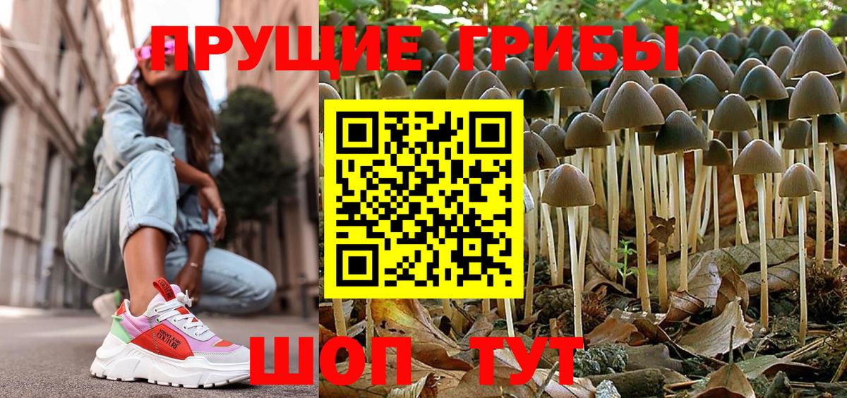 Псилоцибиновые грибы Magic Shrooms  Вход с VPN  где продают наркотики  Псилоцибиновые грибы GOLDEN TEACHER  Хабаровск 