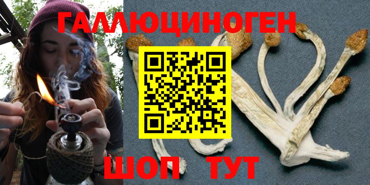 Галлюциногенные грибы мухоморы Хабаровск